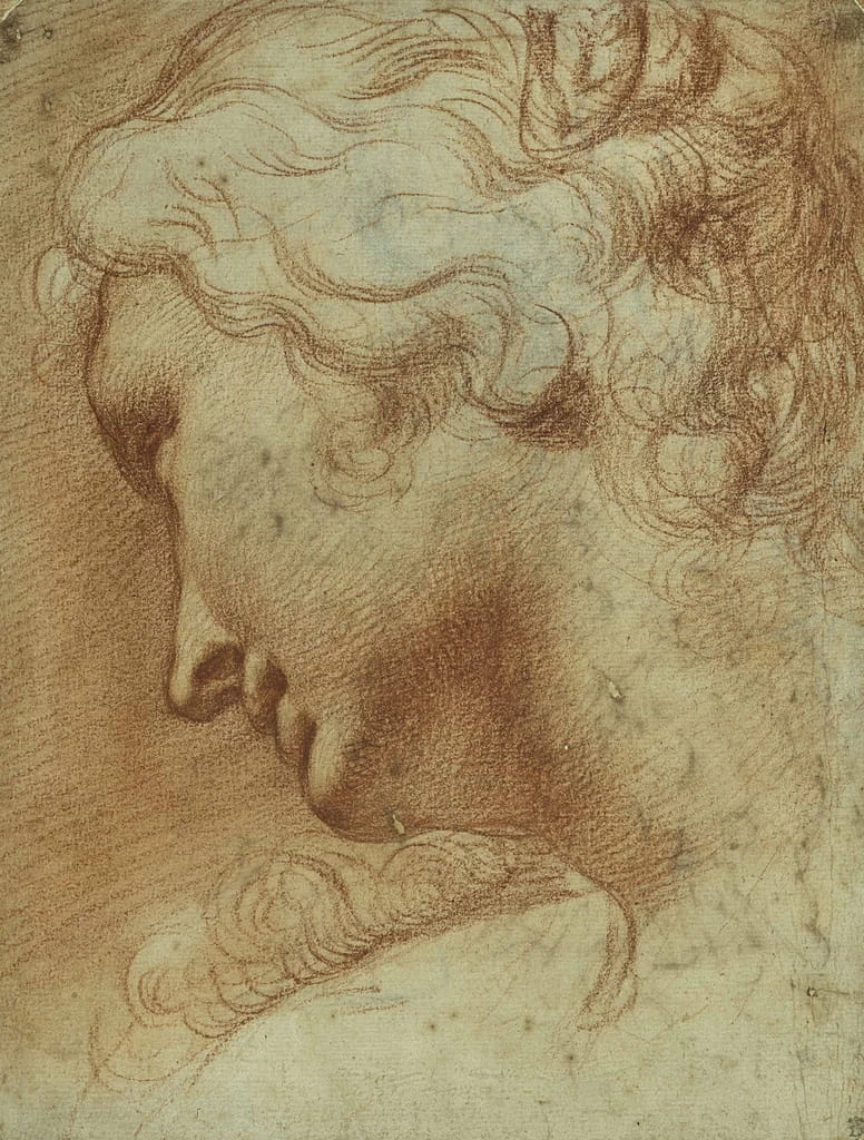 Testa di giovane donna - The Devonshire Collections, Chatsworth